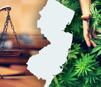 Cannabis legalization rules