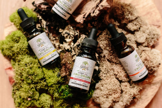 Photo by Tree of Life Seeds from Pexels
