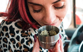 Read This To Make Your Cannabis Stash Stay More Fresh