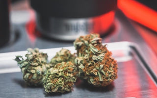 High Energy and Low Anxiety Cannabis Strains To Help You Get Active in The Morning