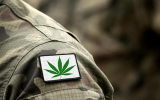 Should Veterans Smoke Weed?