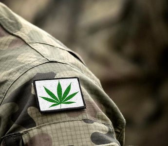 Should Veterans Smoke Weed?
