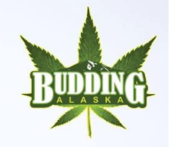 Alaska Approves On-Site Consumption in Retail Cannabis Stores