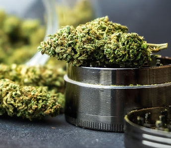Best grinders for weed, best grinder for weed