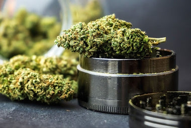 Best grinders for weed, best grinder for weed