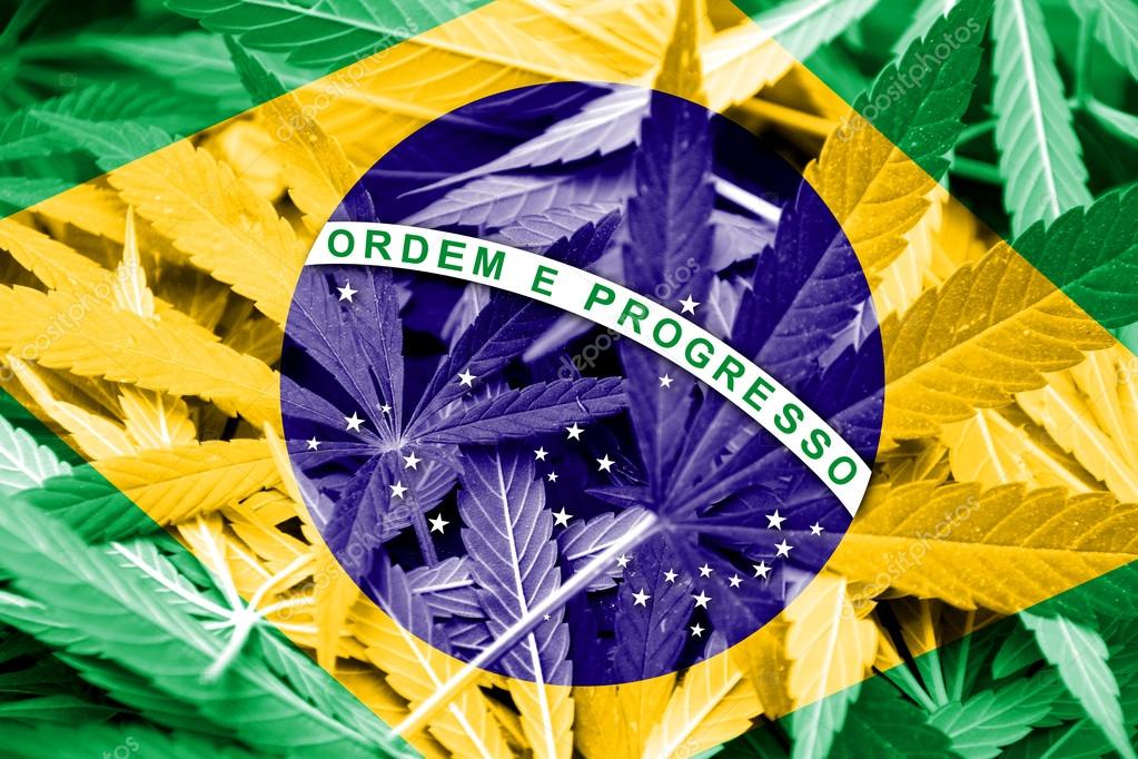 Brazilian Medicinal Cannabis Bill Passes First Senate Vote