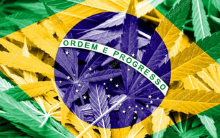 Brazilian Medicinal Cannabis Bill Passes First Senate Vote