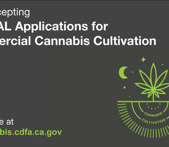 Commercial Cannabis Cultivation Banner