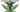 Canadian Cannabis Supplies Mexico's Medicinal Market