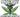 Canadian Cannabis Supplies Mexico's Medicinal Market