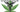 Canadian Cannabis Supplies Mexico's Medicinal Market