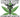 Canadian Cannabis Supplies Mexico's Medicinal Market