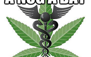 Canadian Cannabis Supplies Mexico's Medicinal Market