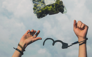 U.S. Cannabis Arrest Rates Decreasing Despite Minority Discrimination