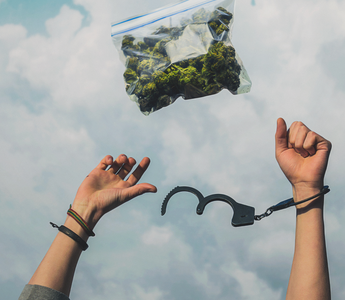 U.S. Cannabis Arrest Rates Decreasing Despite Minority Discrimination