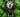 Cannabis for Pets