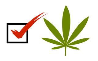 Cannabis Vote nomination