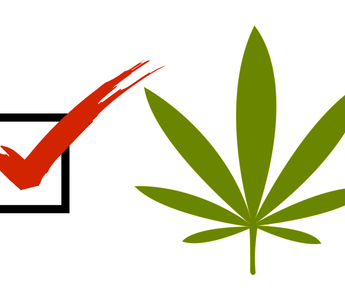 Cannabis Vote nomination