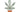 Cannabis Tax Revenues to Support State Social Programs