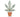 Cannabis Tax Revenues to Support State Social Programs