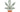 Cannabis Tax Revenues to Support State Social Programs