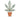 Cannabis Tax Revenues to Support State Social Programs
