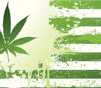Marijuana Laws