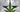 Senate Passes Hemp Legalization Provision in 2018 Farm Bill