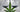 Senate Passes Hemp Legalization Provision in 2018 Farm Bill