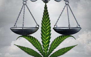 Senate Passes Hemp Legalization Provision in 2018 Farm Bill