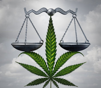 Senate Passes Hemp Legalization Provision in 2018 Farm Bill