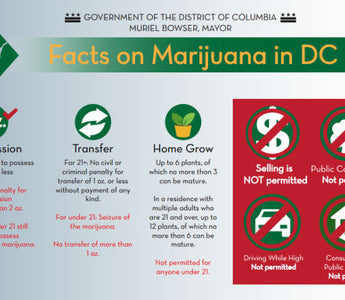 Marijuana Laws in DC
