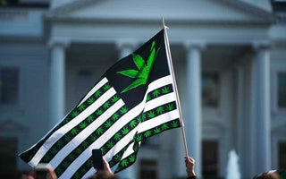 Washington D.C. Funding for Cannabis Legalization Barred in 2019