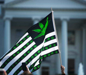 Washington D.C. Funding for Cannabis Legalization Barred in 2019