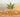 Sunshine State Medical Cannabis License Market Value Over $50M