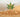 Sunshine State Medical Cannabis License Market Value Over $50M