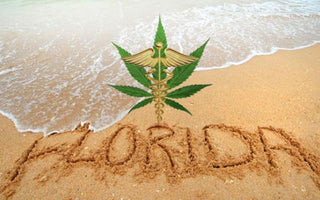Sunshine State Medical Cannabis License Market Value Over $50M