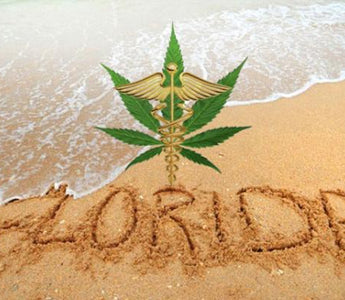 Sunshine State Medical Cannabis License Market Value Over $50M