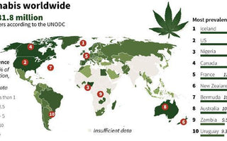 Cannabis worldwide graph