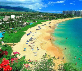 Cannabis Legalization in Hawaii