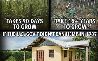 Hempcrete - The Healthy Alternative to Concrete