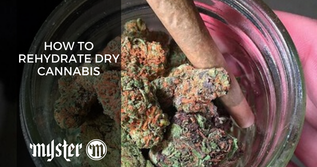 How To Rehydrate Dry Cannabis