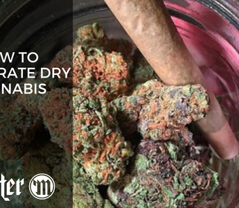 How To Rehydrate Dry Cannabis