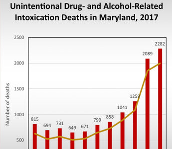 Medicinal Cannabis Versus Prescription Opioids in Maryland: The Golden Standard for a Greener Alternative
