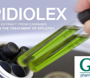 Epidiolex First CBD Medication Approved by FDA in the U.S.