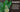 What is Kratom?
