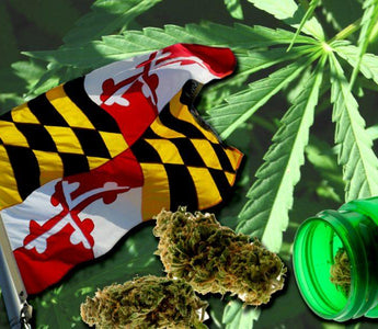 Maryland Marijuana Legalization
