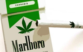 Tobacco Titan Altria Initiates Investment in Cannabis Company Cronos