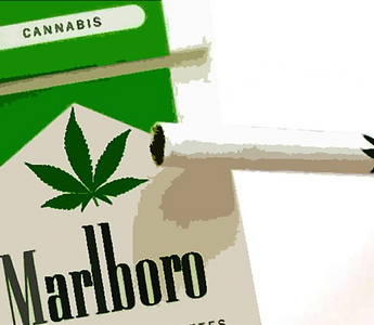 Tobacco Titan Altria Initiates Investment in Cannabis Company Cronos