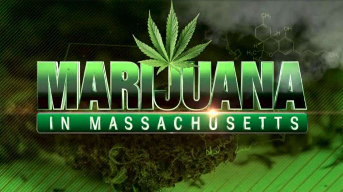 Massachusetts Opens First Recreational Cannabis Shops on East Coast